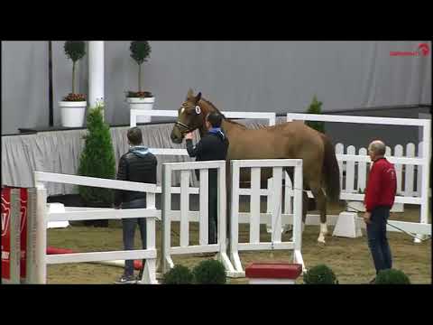 Diamant de Semilly - Balou du Rouet *2017