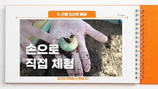 2021 랜선여행! 경기곤충페스티벌
