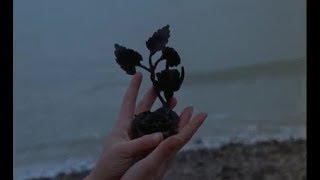 Gus Dapperton - Moodna, Once with Grace