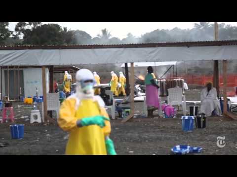 Global Aid Needed to Stop Ebola Outbreak in Africa