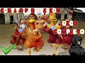 Chicken Run Evasion En La Granja Cortito Pero Peleon 100 Gameplay Español