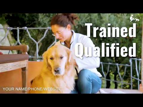 , title : 'We make affordable pet sitting promo video ads'