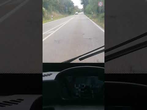 Cargo Runner Cabin Mega Teil 2