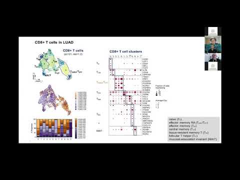 HCA Meeting Asia 2020: Co-current 1-3b - Single cell transcriptome analysis of lung cancer