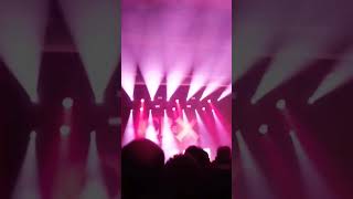 Gij se lelijk foorwijf!