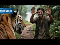 A Stupid Tiger
