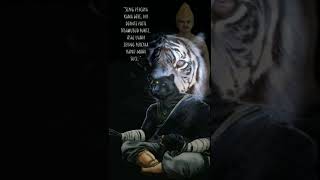 Download lagu story wa macan putih prabu Siliwangi #macanputih #khodampusaka #khodammacan mp3