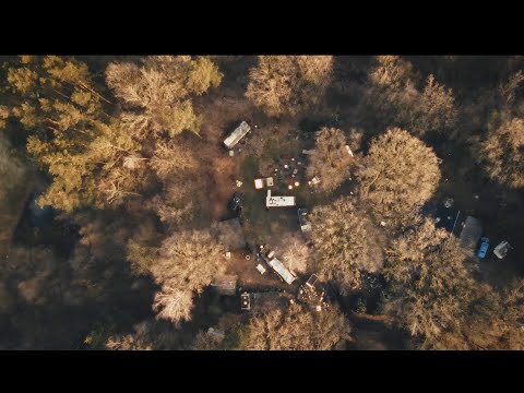 Adar Alfandari - Turns Around (Live at the Waldinsel)