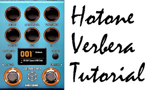 Hotone Verbera Tutorial & Neon Collector Software Overview