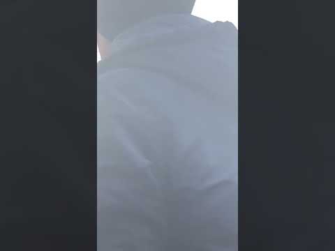 Heart Vs St Johnstone