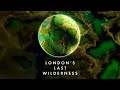 London's Last Wilderness | Official Trailer