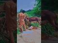 Very Donkey Interstate Animals Donkey Gadha Village August 30 2023