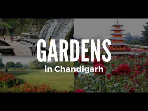 Gardens of Chandigarh
