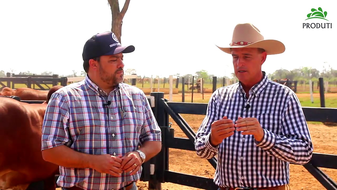 Sindi Castilho - Conversa com Diéde Sobre a Raça Sindi