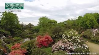 赤城自然園～セゾンガーデン<br>上空より(2015年5月12日撮影)