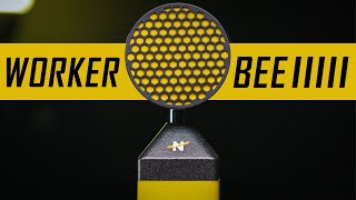 Video thumbnail for Neat Worker Bee Cardioid Condenser Microphone Review / Test (ft. King Bee vs Worker Bee) by Audio Hotline