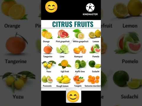 Citrus Fruits name with picture and spelling @Baby School