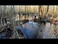 Beaver Dam Collapsed On Me Beaver Dam Removal Downstream At The Culvert S3 EP 8