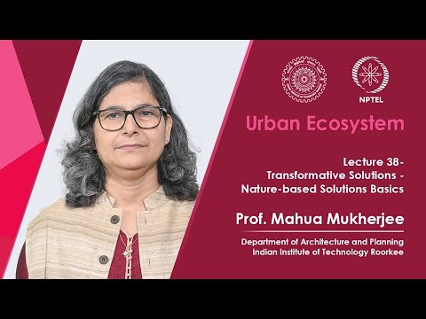 Lecture 38: Transformative Solutions -Nature-based Solutions Basics