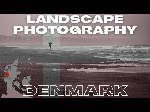 Landscape Photography │ Foggy Beach Photography on the Danish West Coast │ 042 │ OM-1