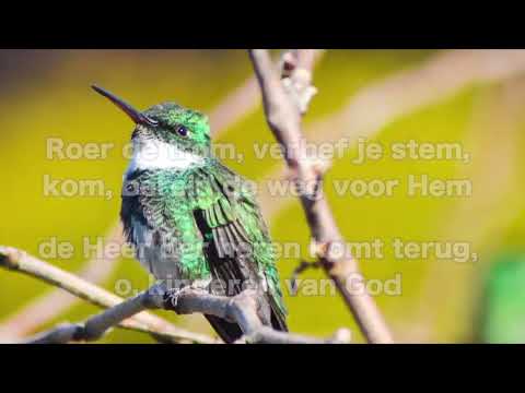 Opwekking 478 Speel nu luid op de trompet 1B