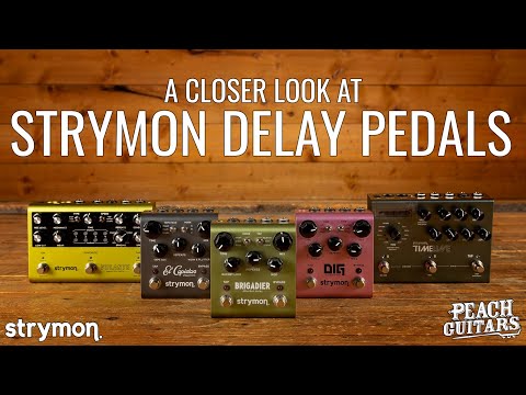 Strymon TimeLine | Multidimensional Delay image 3