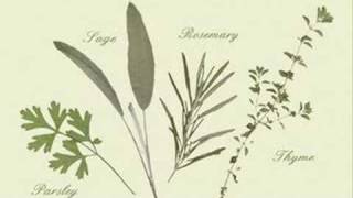 Angelo Branduardi - Scarborough Fair