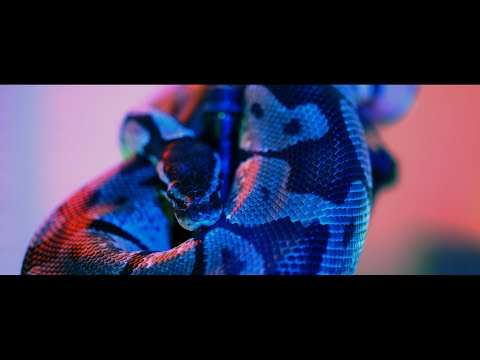 Vlg Rocki - Bad ft. Dj Tokinou (Official Video)