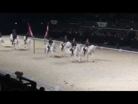 Grand finale - Vienna Spanish riding school in London 11/2016