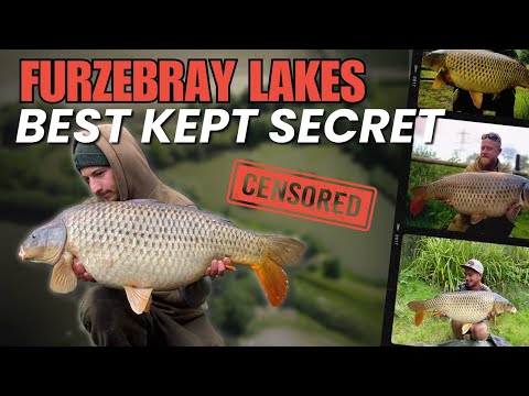 Furzebray Lakes Best Kept Secret | Furzebray Lakes | CARP FISHING in Devon | Day Tickets| Go Catch