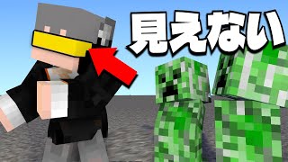 目を隠してマイクラ出来るの？