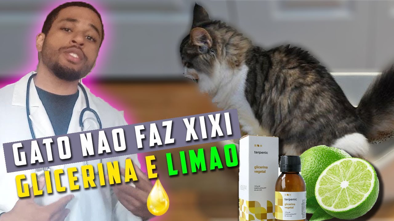 REMEDIO CASEIRO para gato que não consegue urinar!