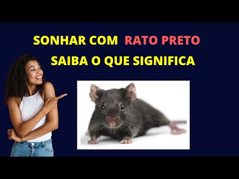 Sonhar com rato preto- Saiba o que significa sonhar com rato preto
