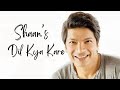 Dil Kya Kare Shaan Full Song Bool Na Jaa