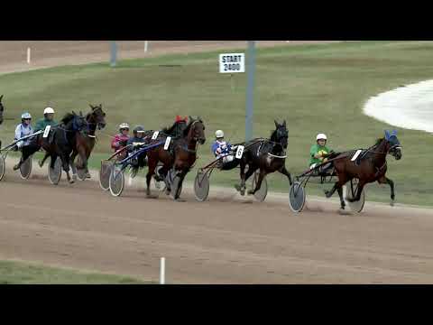 2019.09.28. 05. futam - MOLNÁR HENDIKEP