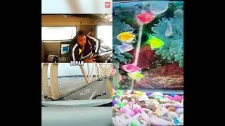 Download lagu supir truk paling beruntung 😱😱 #facts #automobile #funny #informative #informatif #faktaunik mp3