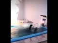 Stan Twitter: Scared cutie jumps in a steep pool while scary music plays 😰😨😱
