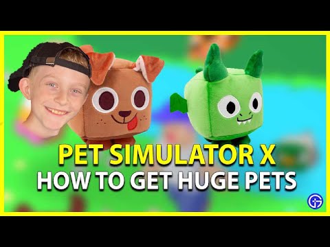 Pet simulator x åbner event og og får huge pet