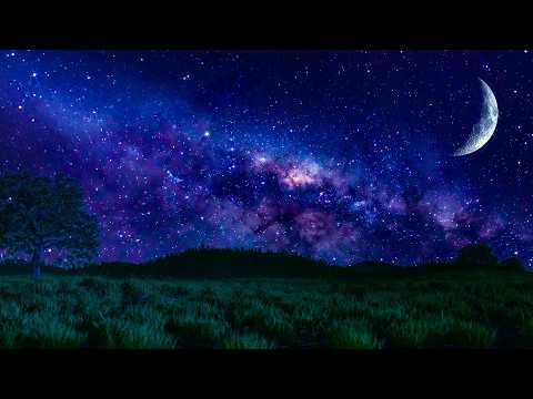 White Noise for the Best Sleep Ever