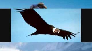 cordillera enanitos verdes