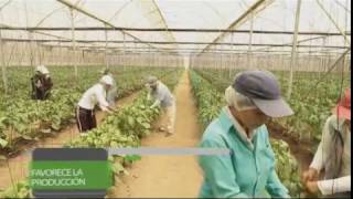 Nitrato de Calcio BI