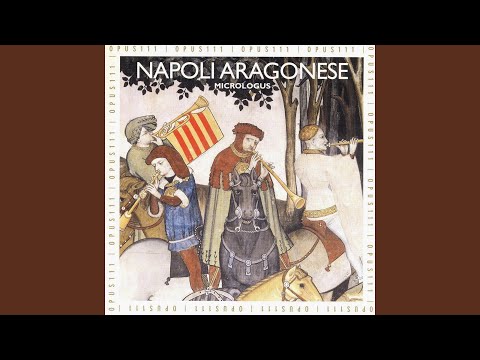 Amor que t'o fat hio