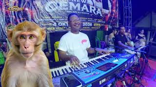 Download lagu LAGU INI BIKIN BANJIR AIR MATA // NEW CEMARA // FARIS KENDANG // Live Kenep Krian mp3