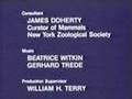 Wild, Wild World of Animals - orig. end theme ...