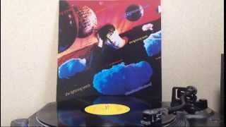 The Lightning Seeds - All I Want (LP)