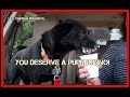 You Deserve A Puppuccino