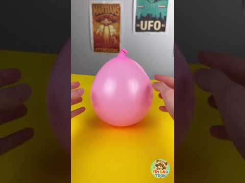 Yay! 🐰 Roly Poly Bunny 🎭 My Brother Made It For Me! ✨ #DIYForKids