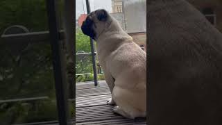 ロンドンの今日の天気は…