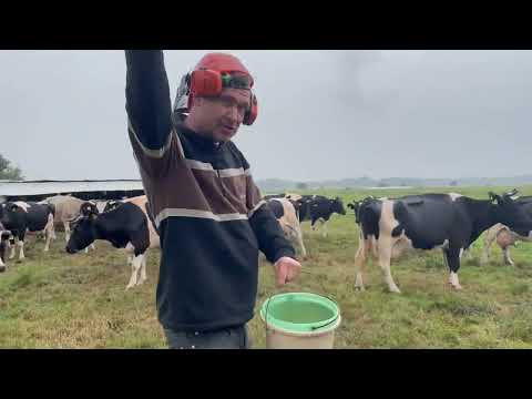 Bad S.A.NDY Shyreen feat. MCGarten&Feldarbeit - Pfurzen im Klo