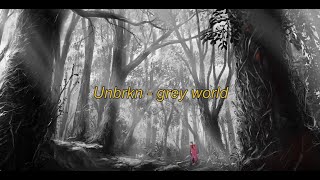 grey world Music Video